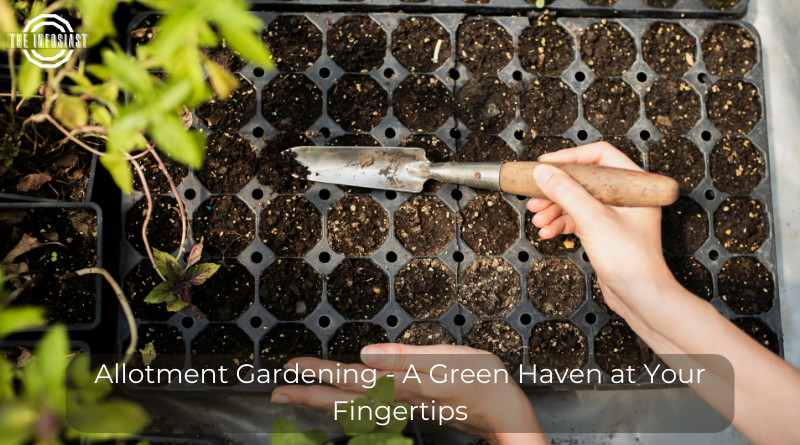 Allotment Gardening - A Green Haven at Your Fingertips