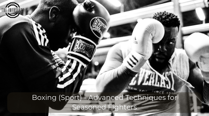 Boxing (Sport) - Advanced Techniques for Seasoned Fighters