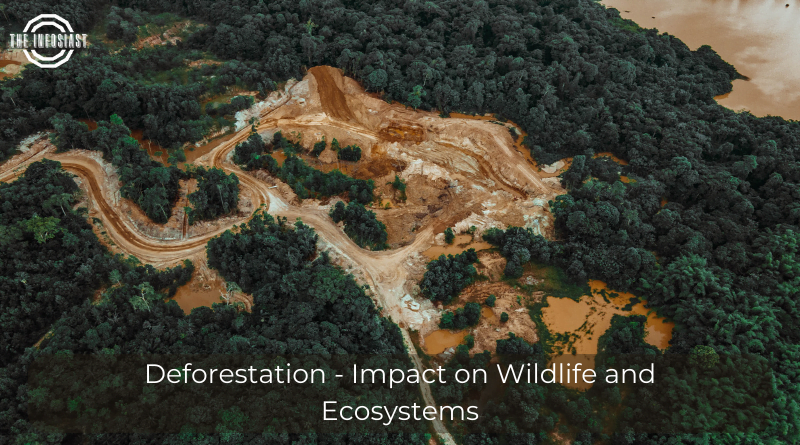 Deforestation - Impact on Wildlife and Ecosystems