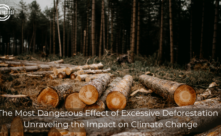 The Most Dangerous Effect of Excessive Deforestation - Unraveling the Impact on Climate Change