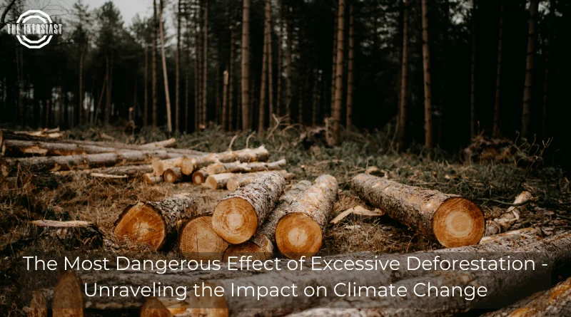 The Most Dangerous Effect of Excessive Deforestation - Unraveling the Impact on Climate Change 1 The Most Dangerous Effect of Excessive Deforestation - Unraveling the Impact on Climate Change