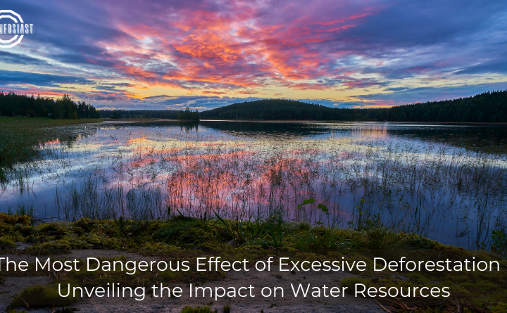 The Most Dangerous Effect of Excessive Deforestation - Unveiling the Impact on Water Resources