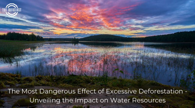 The Most Dangerous Effect of Excessive Deforestation - Unveiling the Impact on Water Resources