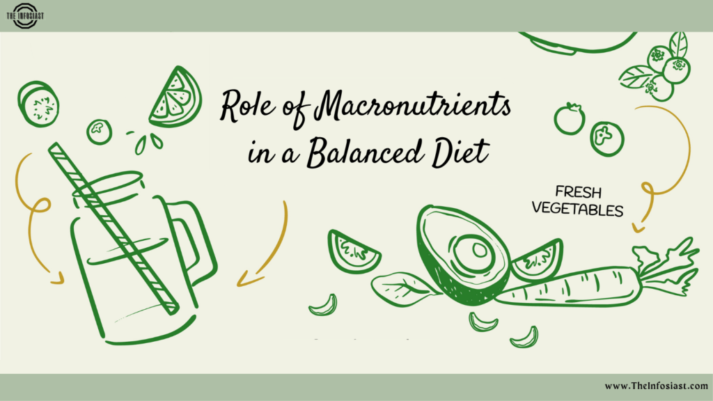 Understanding the Role of Macronutrients in a Balanced Diet