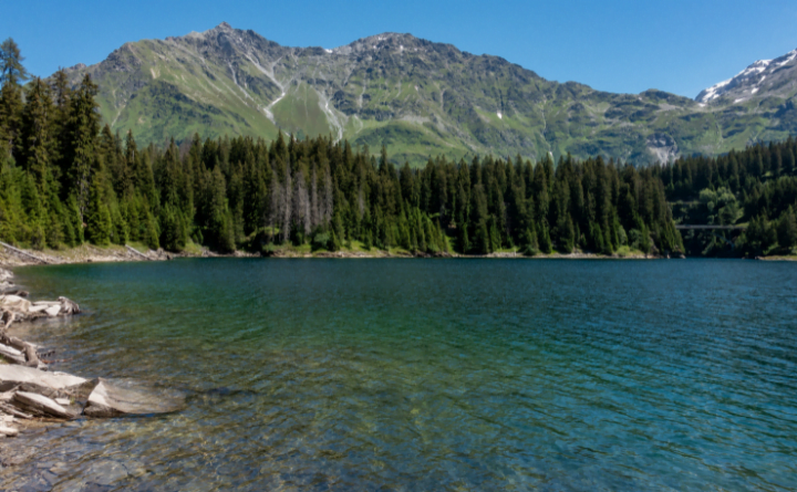 Exploring Earth's Vital Resource What Percentage of Fresh Water is Available