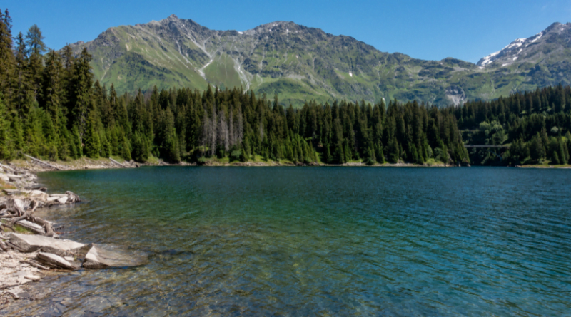 Exploring Earth's Vital Resource What Percentage of Fresh Water is Available