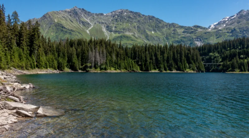 Earth's Fresh Water: Precise Percentage Breakdown, Global Reservoirs, and the Scarcity Crisis 1 Exploring Earth's Vital Resource What Percentage of Fresh Water is Available