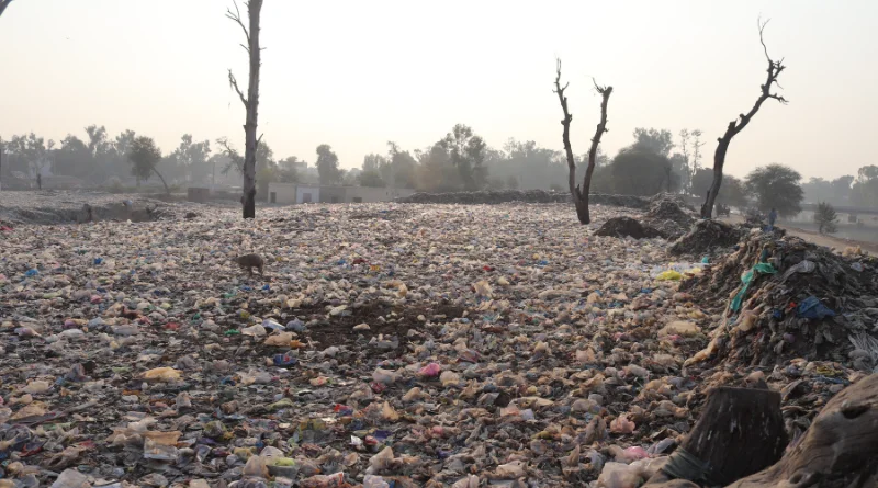 Environmental Crisis: An Escalating Concern 1 Environmental Crisis An Escalating Concern