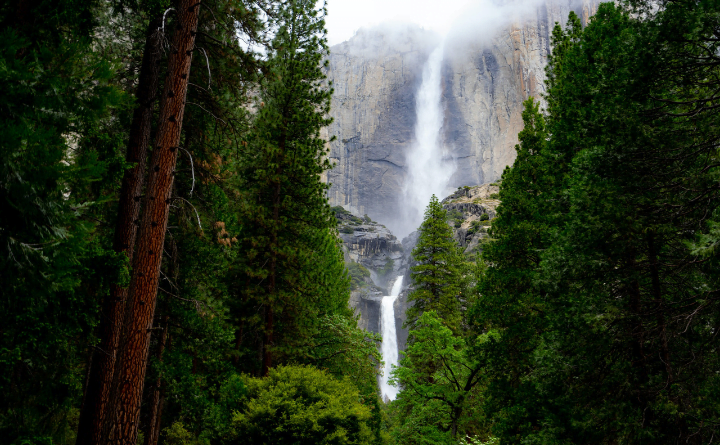 India's Highest Waterfalls Kunchikal Falls