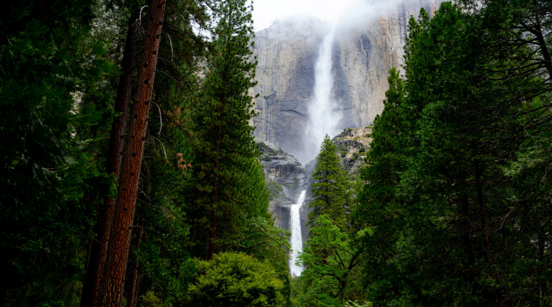 India's Highest Waterfalls Kunchikal Falls