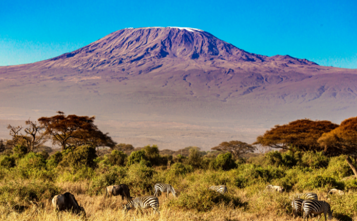 Kilimanjaro Africa's Pinnacle Summit