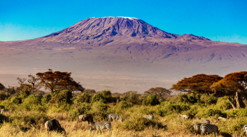 Kilimanjaro Africa's Pinnacle Summit