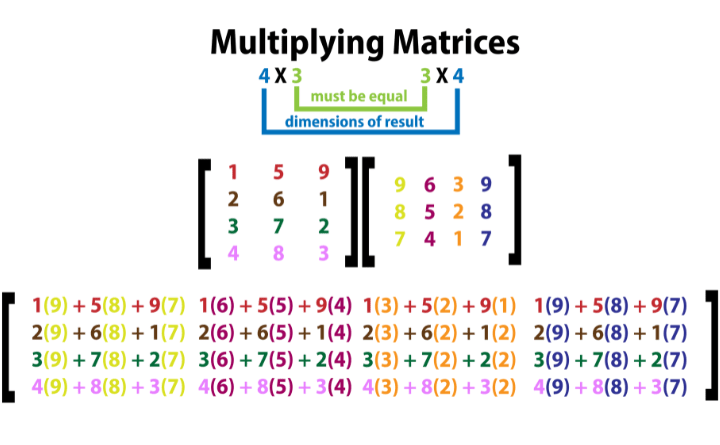 Matrices in Mathematics