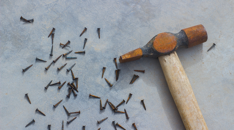 Nails An All-Encompassing Odyssey Through Past, Present, and Future