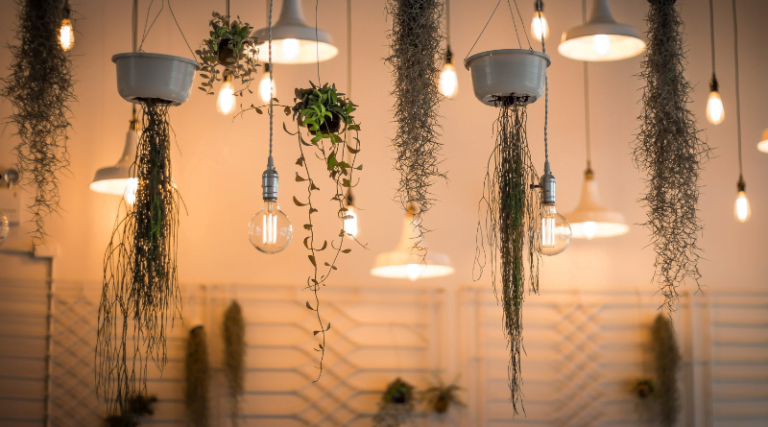 The Light Bulb: Past, Present, and Future - The Infosiast