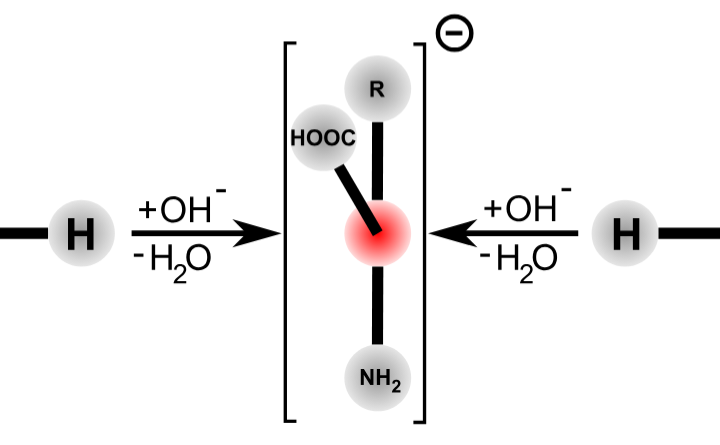 Racemization Occurs In