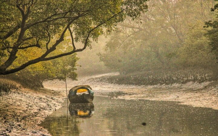 The Sundarbans - Forest in Asia