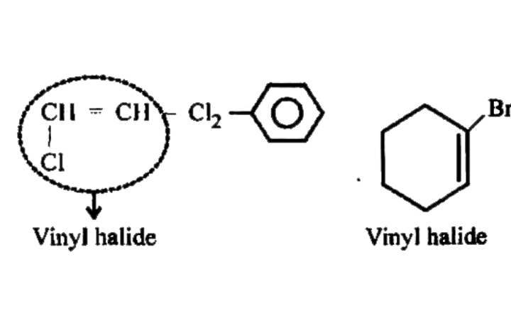 Which of the Following Belongs to the Class of Vinyl Halides