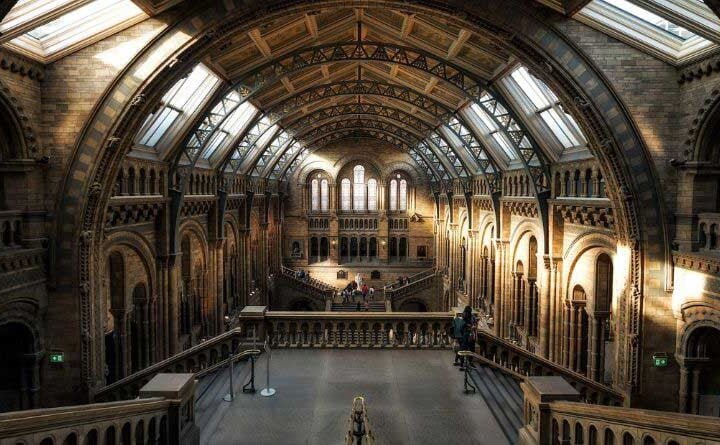 Exploring-the-Natural-History-Museum-in-London-A-Pinnacle-of-Timeless-Grandeur
