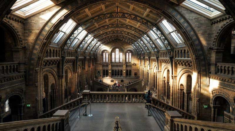 Exploring-the-Natural-History-Museum-in-London-A-Pinnacle-of-Timeless-Grandeur