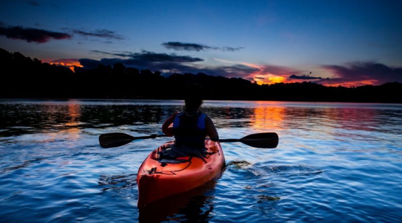 Paddle Through Starlight Unveiling the Magic of Bioluminescent Kayaking