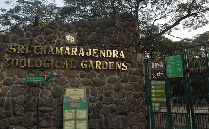 Mysuru Zoo Implements ACs, Fans to Protect Animals from Blistering Heat