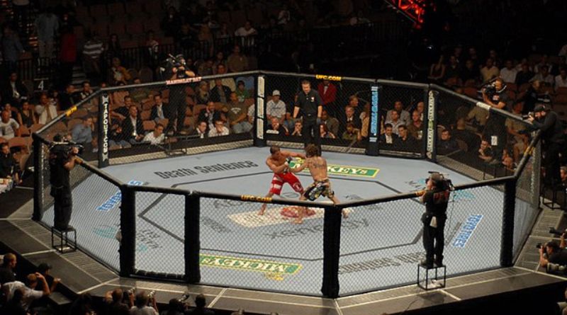 The Ultimate Guide to the UFC The Octagon's Evolution and Champion Legacy