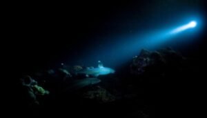 An international team of researchers, including a Northwestern chemist, has discovered that metallic minerals on the deep-ocean floor produce oxygen — 13,000 feet below the surface.